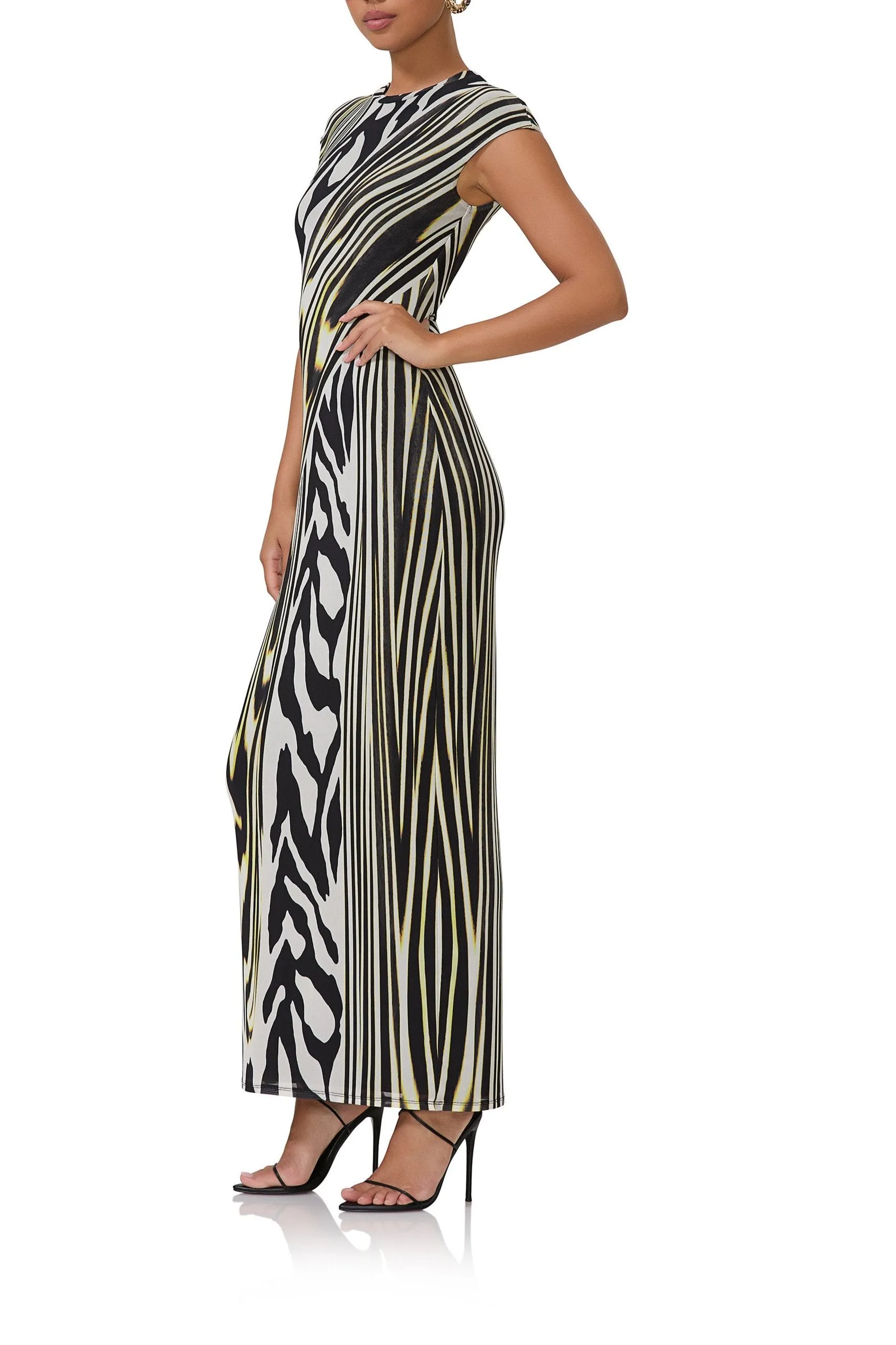 Cody Maxi Dress - Zebra Lime