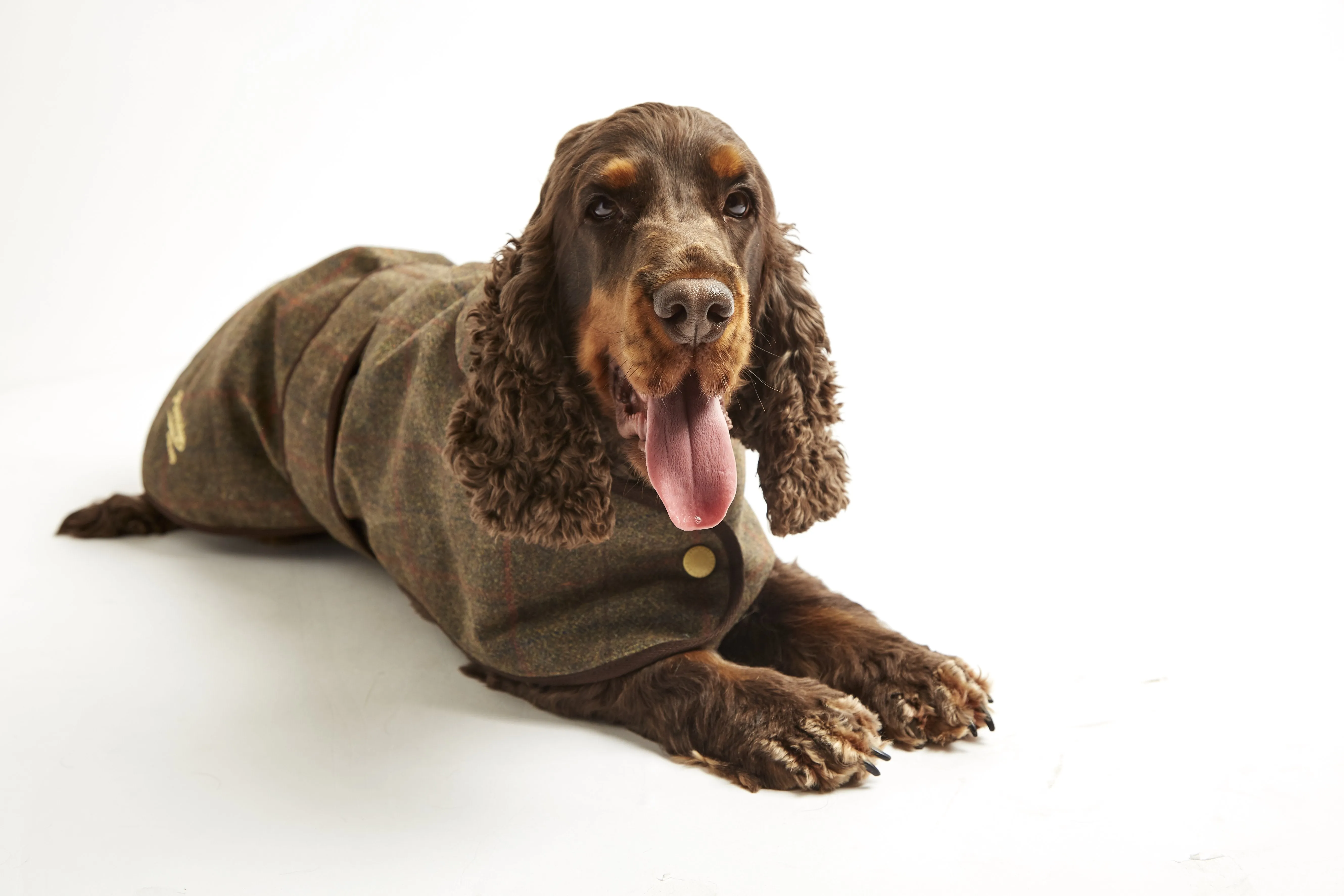 Dog Coat - Waxed Tweed